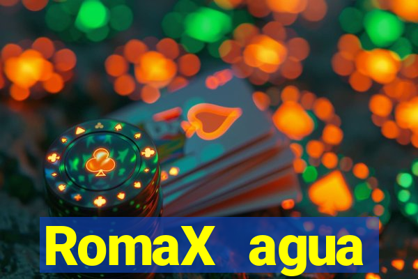 RomaX agua sanitaria fispq agua sanitaria romax